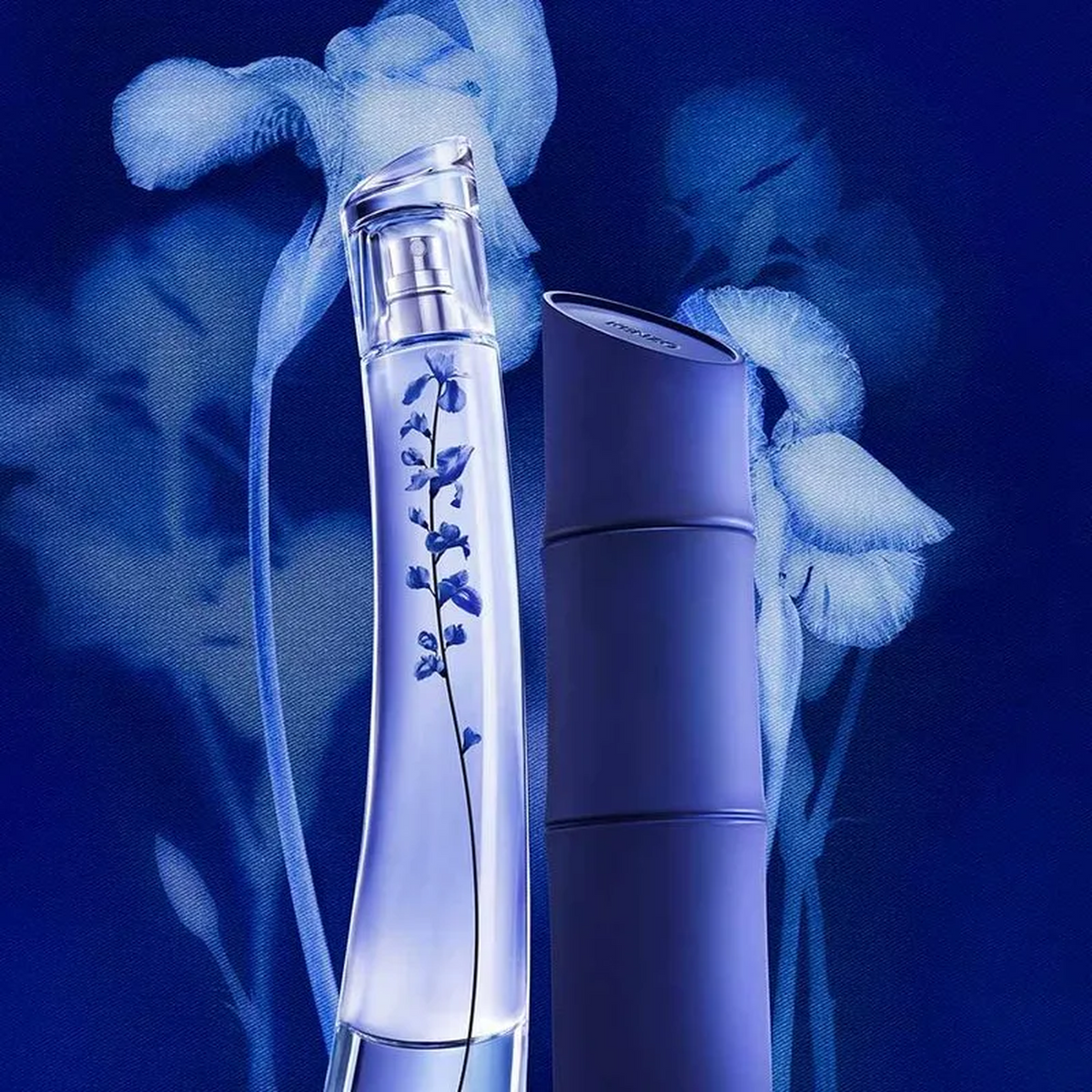 Kenzo Homme Indigo EDP for Men fragrance notes image