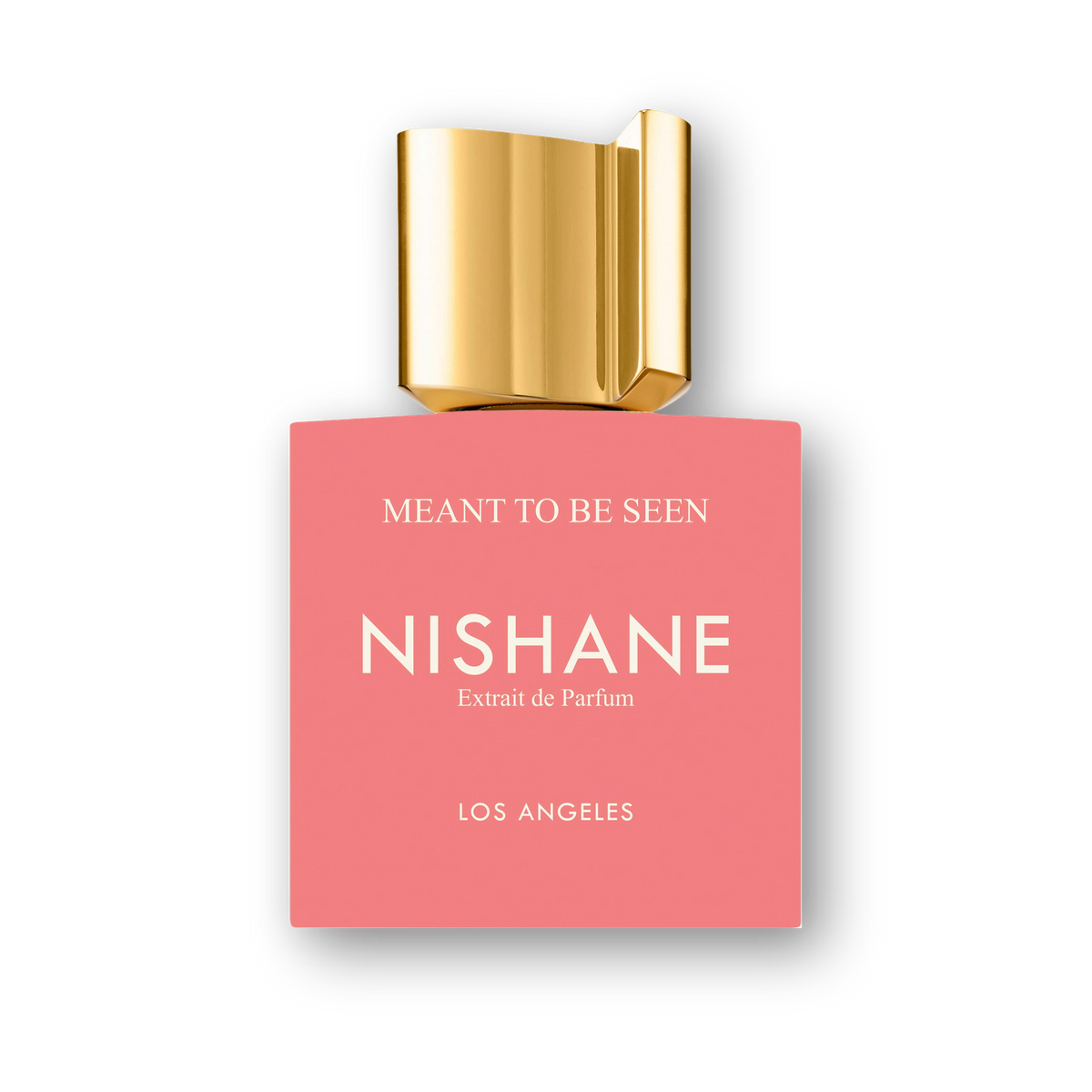 Nishane Meant To Be Seen Extrait de Parfum hero image