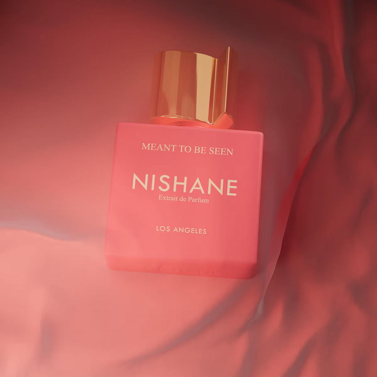 Nishane Meant To Be Seen Extrait de Parfum fragrance notes image