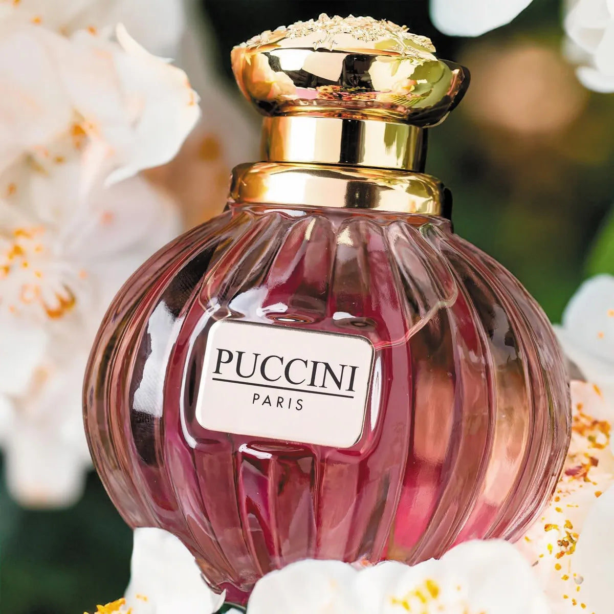 Puccini EDP For Women