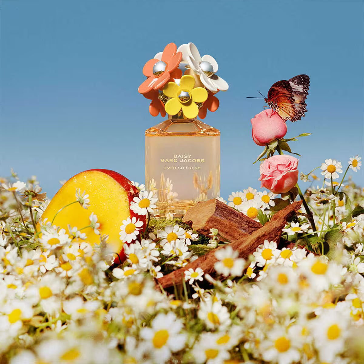 Marc Jacobs Daisy Discovery Set for Her