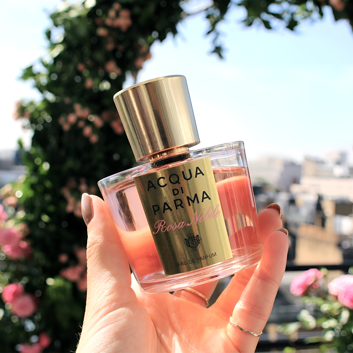 Acqua Di Parma Rosa Nobile EDP