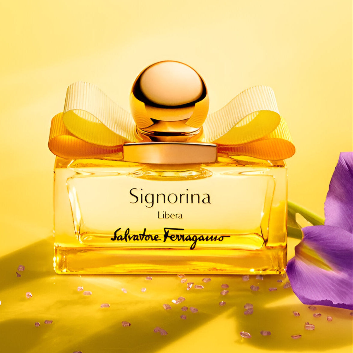 Salvatore Ferragamo Signorina Libera EDP Gift Set