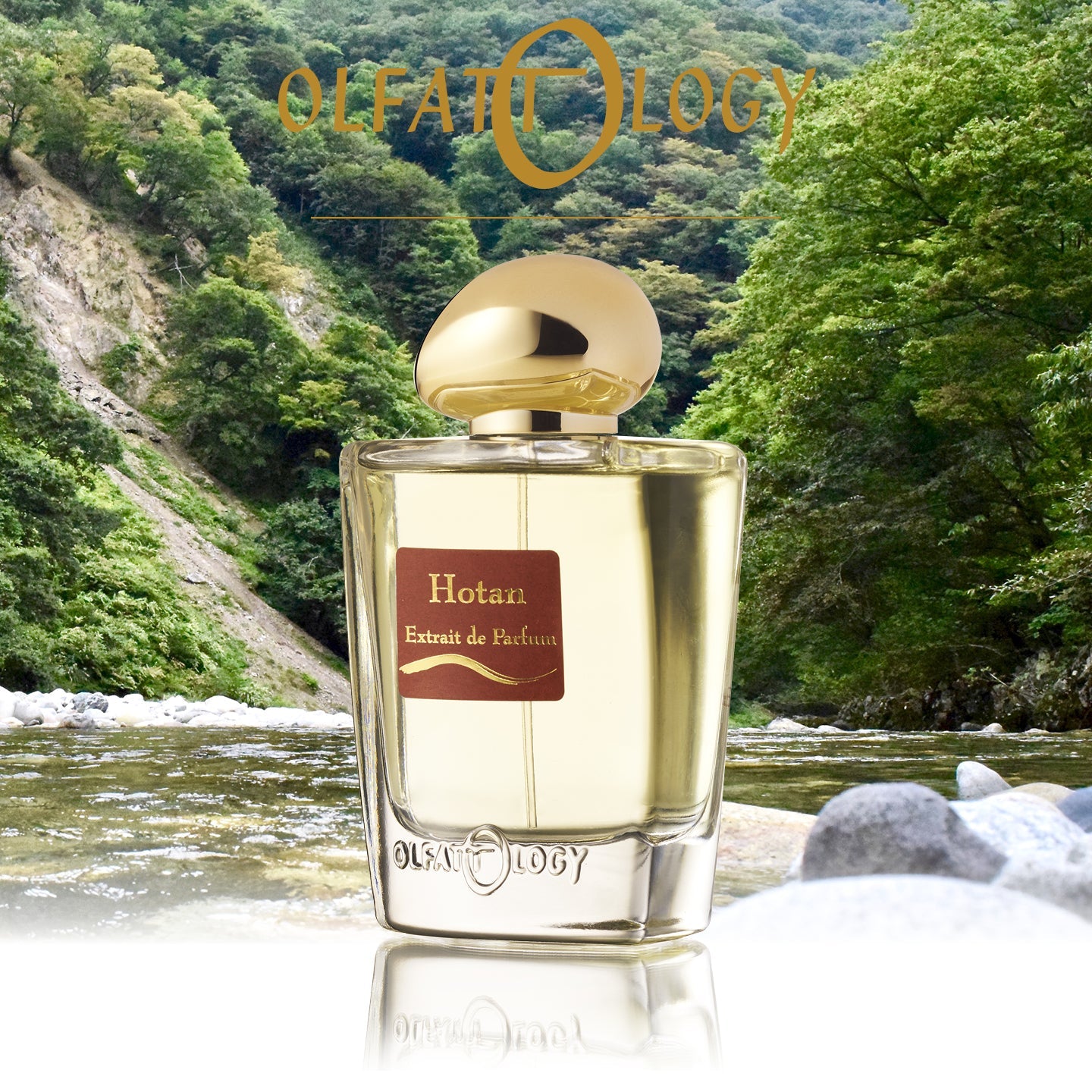 Olfattology Hotan Extrait De Parfum | My Perfume Shop
