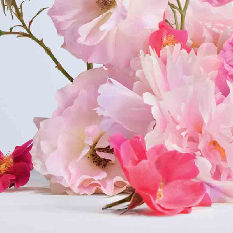 Dior Forever and Ever EDT | My Perfume Shop