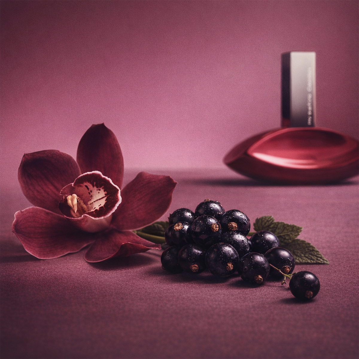 Calvin Klein My Euphoria EDP fragrance notes image