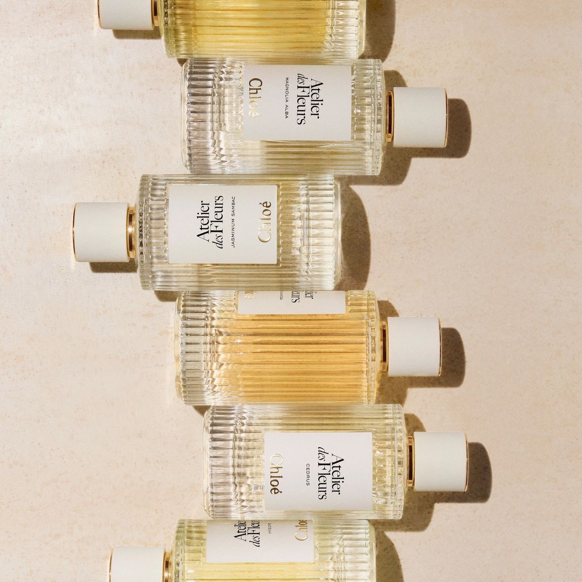 Chloe Atelier Des Fleurs Hibiscus Abelmoschus EDP fragrance details hero image