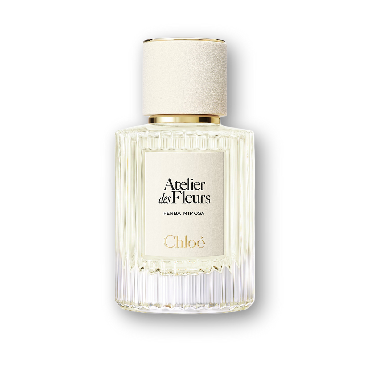 Chloe Atelier Des Fleurs Herba Mimosa EDP hero image