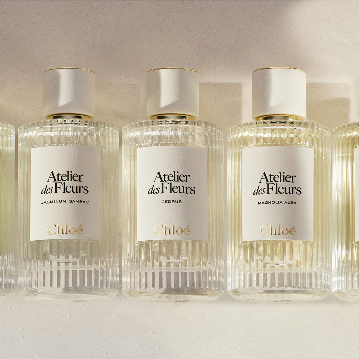 Chloe Atelier Des Fleurs Hysope EDP fragrance details image