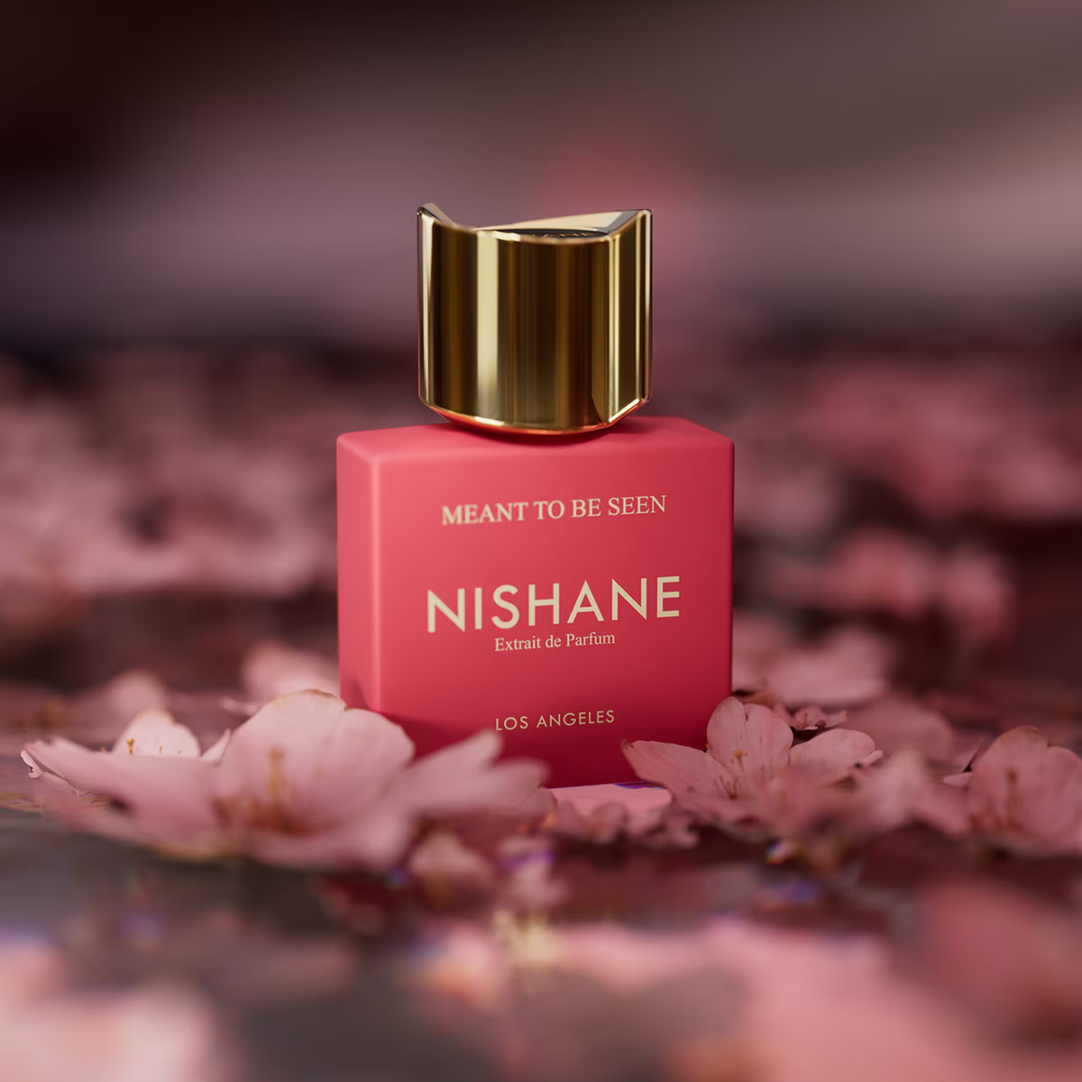 Nishane Meant To Be Seen Extrait de Parfum fragrance details image