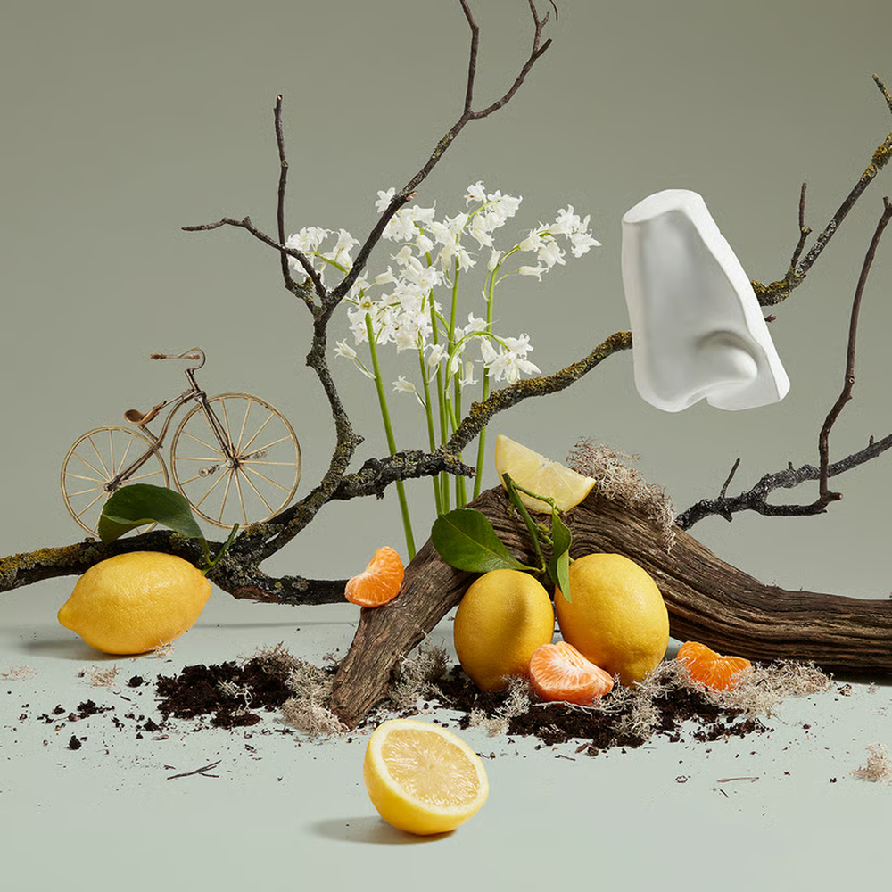 Penhaligon's Quercus EDC fragrance notes image