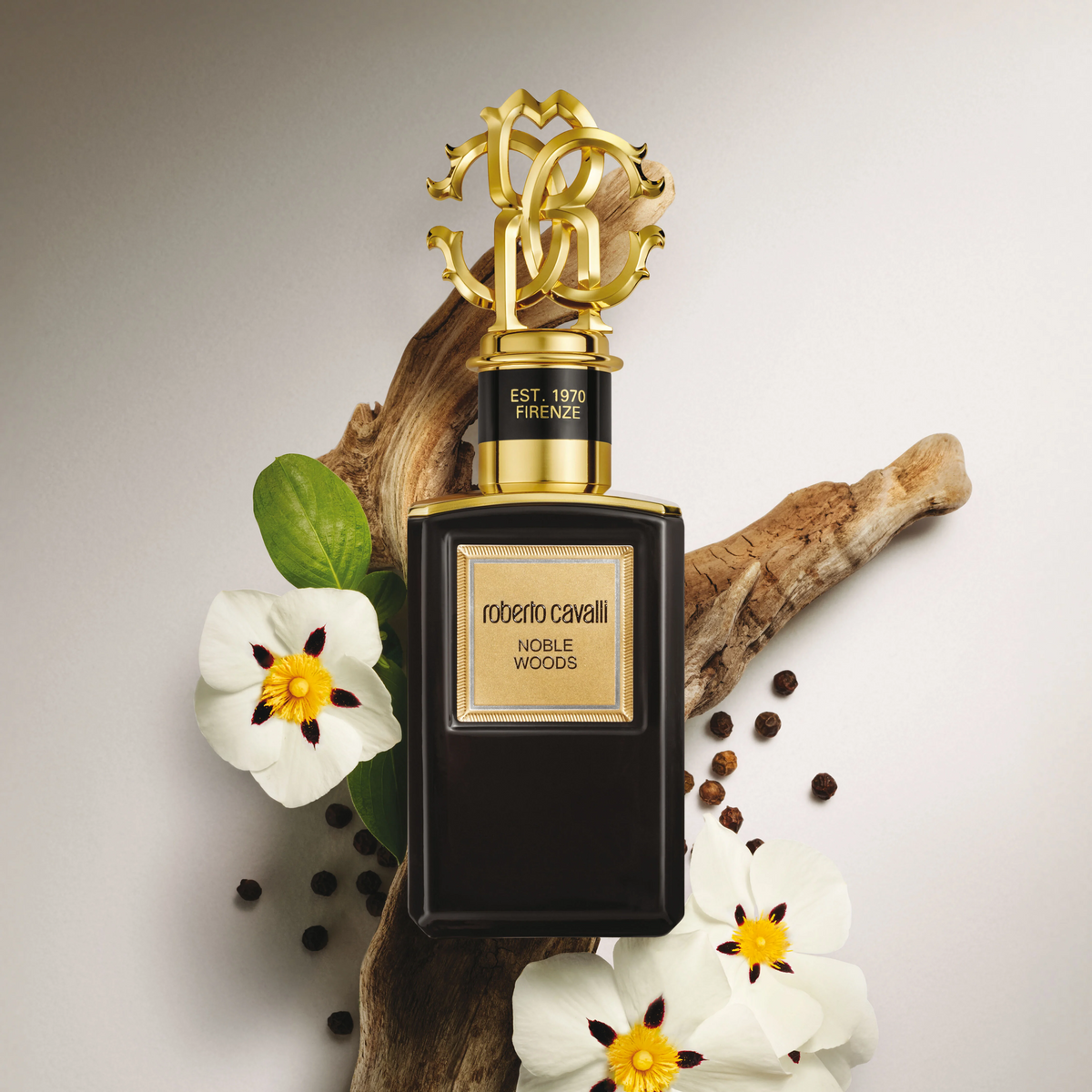Roberto Cavalli Noble Woods EDP fragrance notes image