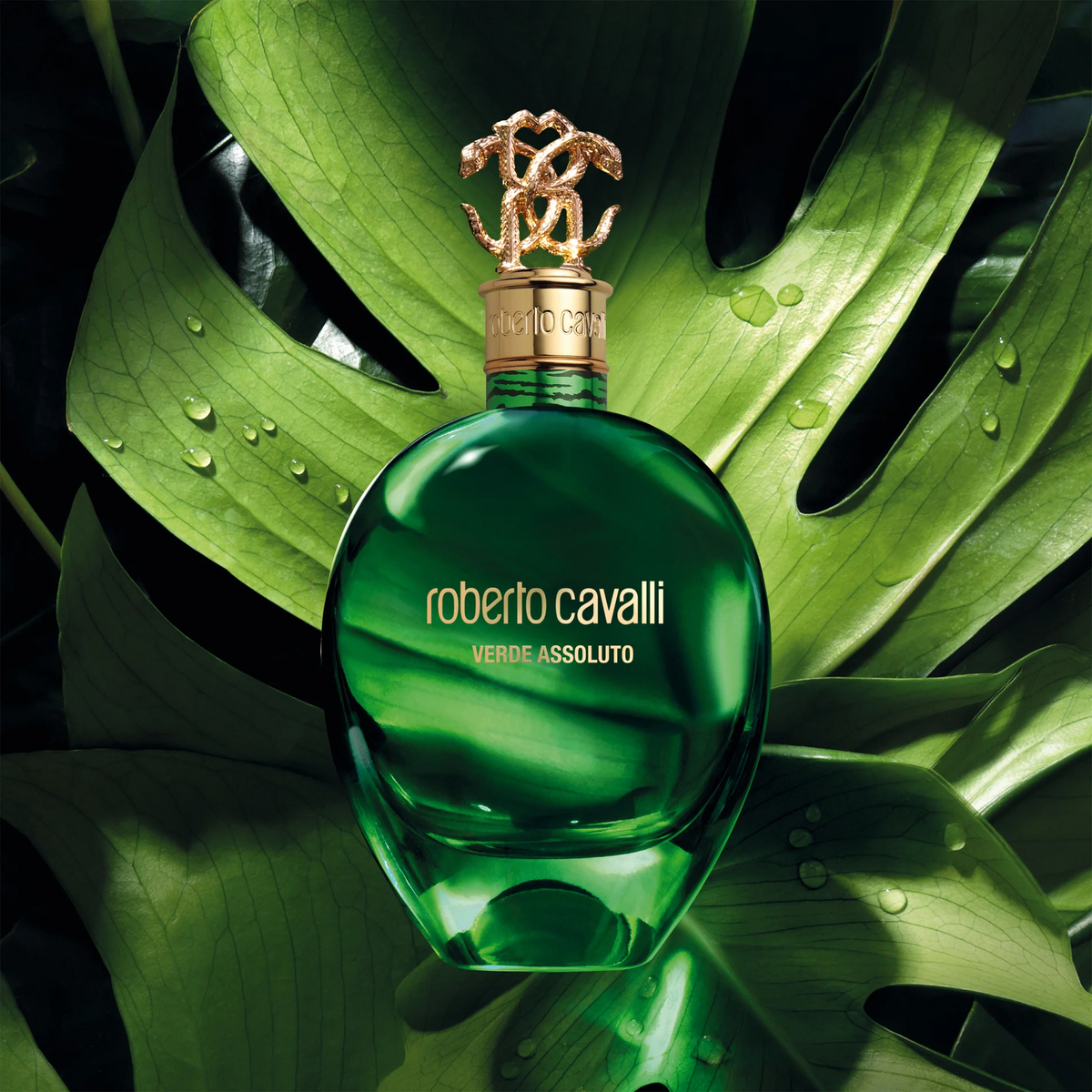 Roberto Cavalli Verde Assoluto EDP For Women fragrance details image