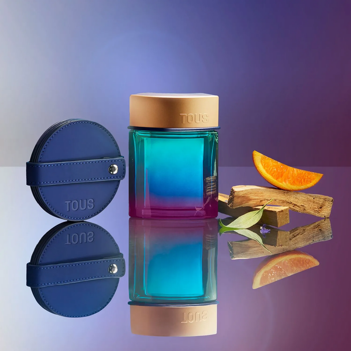 Tous Sky EDP For Men fragrance notes image